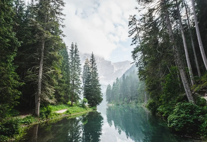 CA Green Solutions — Motion Finance verte