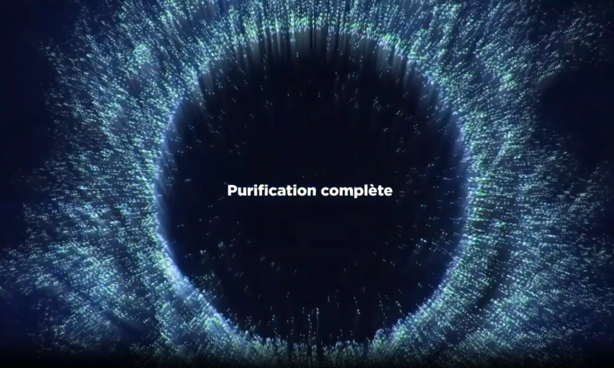 W3T — visual